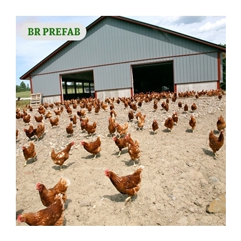 Poultry Shed For Chicken Farm with equipment in Ethiopia