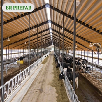 China Supplied Light Steel Frame For Cow Shed