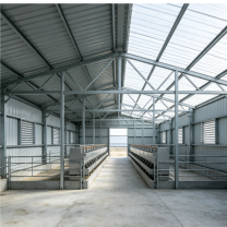 China Supplied Light Steel Frame For Cow Shed