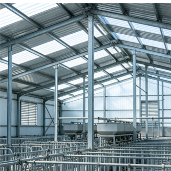 China Supplied Light Steel Frame For Cow Shed
